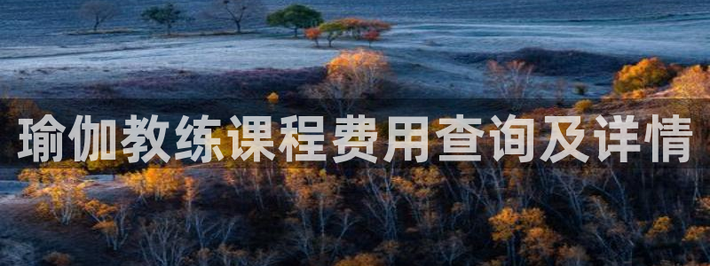 龙8国际官网版玩法