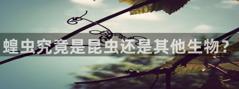 龙8国际在线