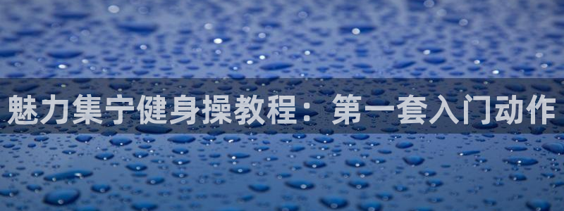 龙 八国际