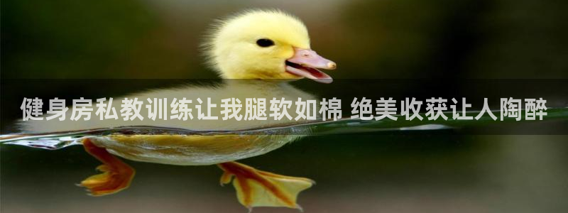 龙8国际网站