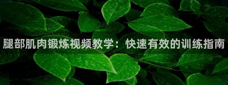 龙8国际官方平台