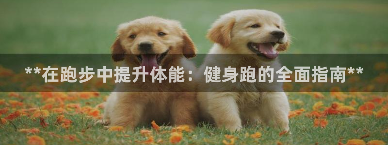 龙8国际中国