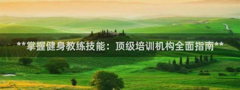 龙8国际pt