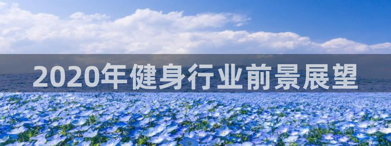 龙8国际头号玩家