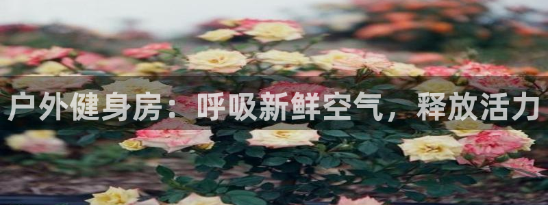 龙8国际app下载手机版